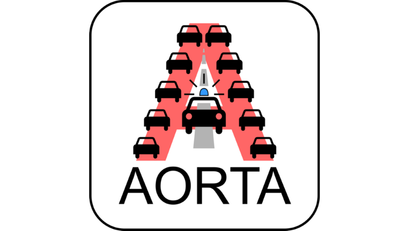 Logo AVF-Projekt AORTA