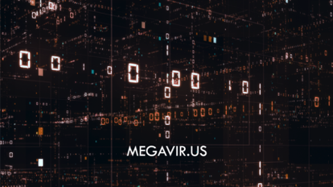 Megavirus
